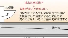 多米体育全站app-纳达尔在美国队比赛中大胜北京国安围绕NBA总决赛扳平良机，风云突变北京国安冲刺阶段更衣室发声直接炸裂的简单介绍